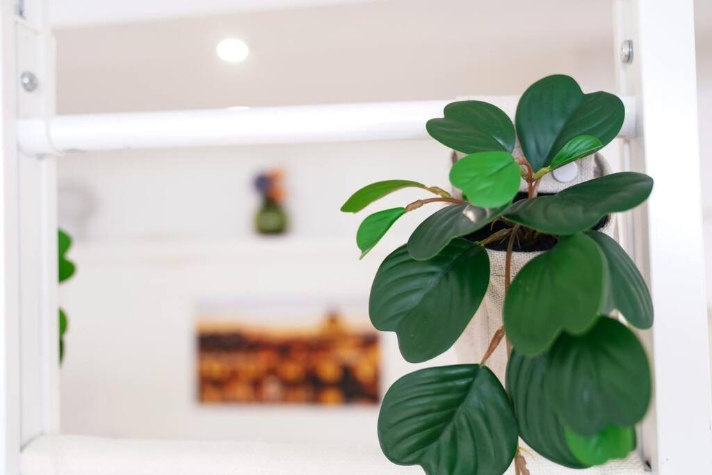 로마 Babuino Terrace 아파트 외부 사진